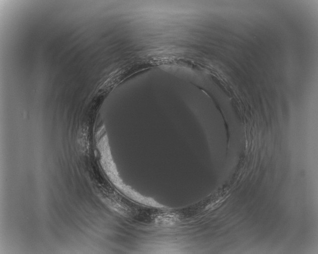 X0000066120599200603241612