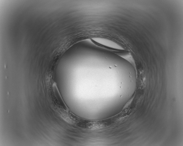 X0000066120601200603241612