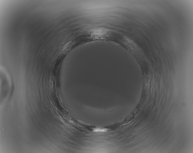 X0000066120603200603241612