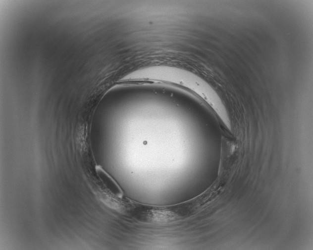 X0000066120605200603241612