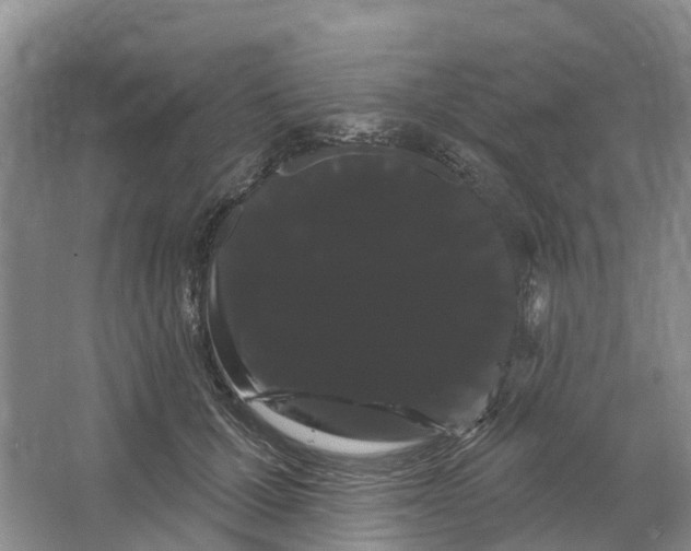 X0000066120607200603241612