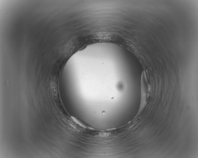 X0000066120609200603241612