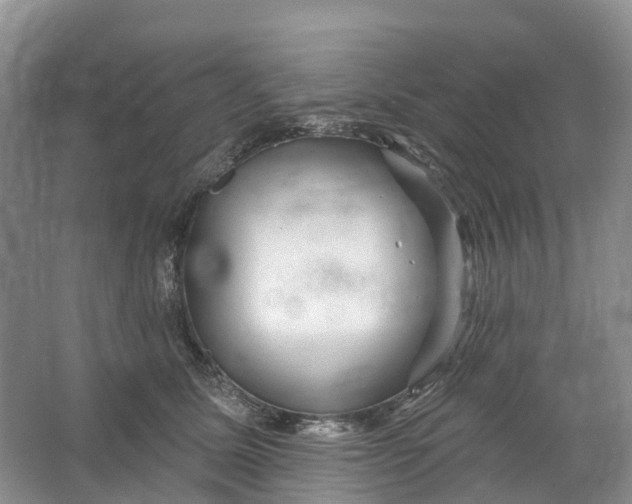 X0000066120611200603241612