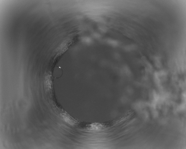 X0000066120612200603241612