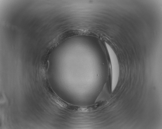 X0000066120613200603241612