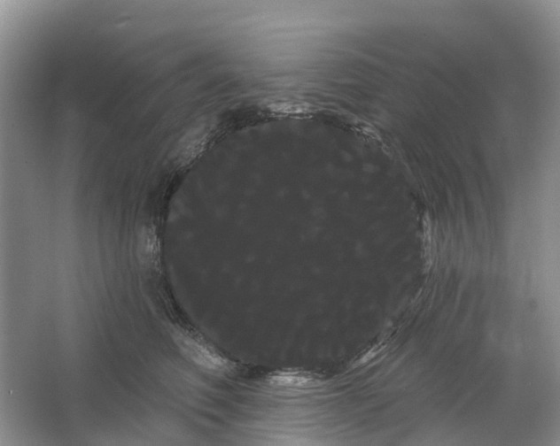 X0000066120614200603241612