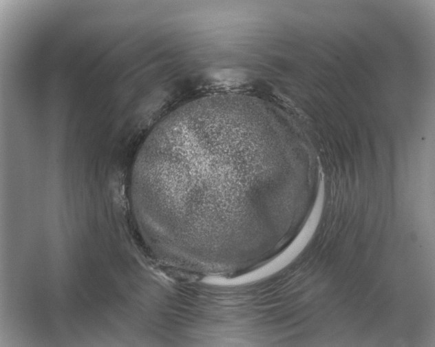 X0000066120615200603241612