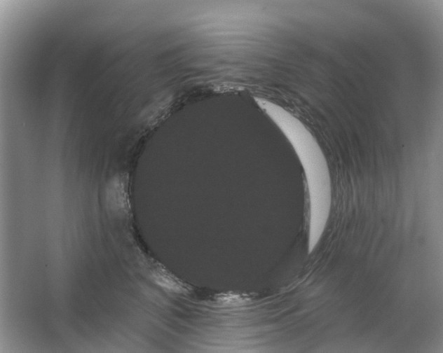 X0000066120616200603241612