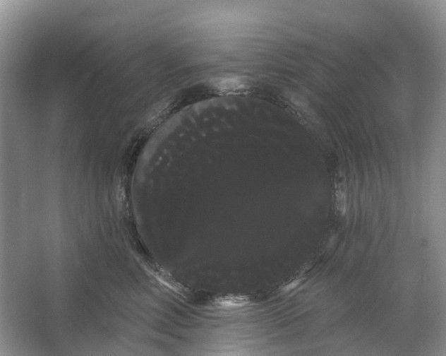 X0000066120618200603241612