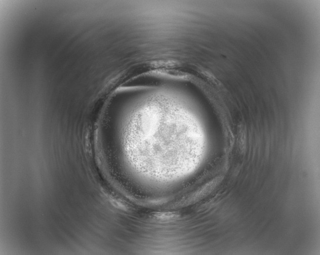 X0000066120619200603241612