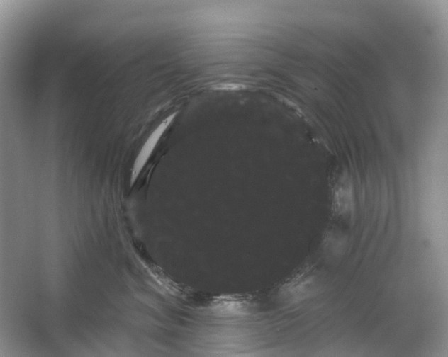 X0000066120620200603241612