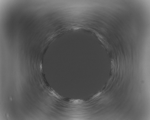 X0000066120621200603241612