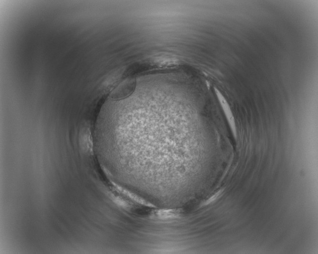 X0000066120622200603241612