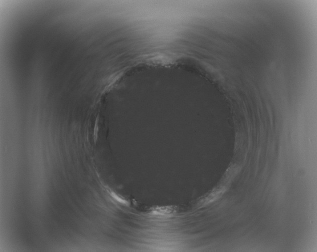 X0000066120624200603241612