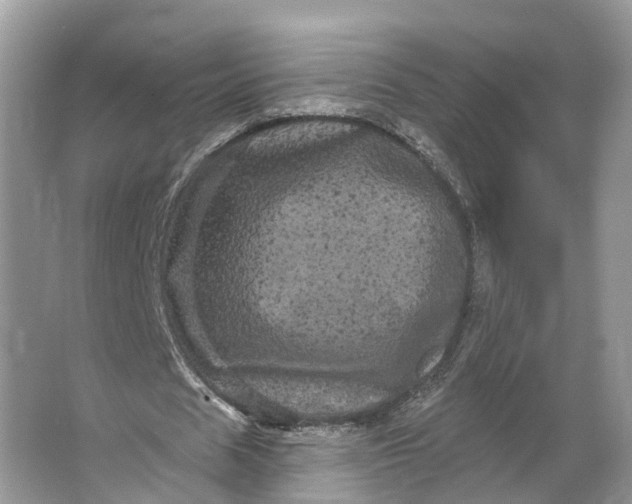 X0000066120625200603241611