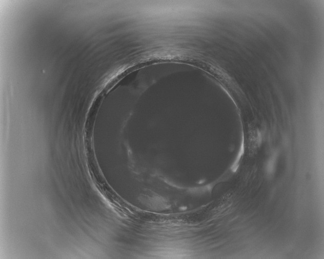 X0000066120626200603241611