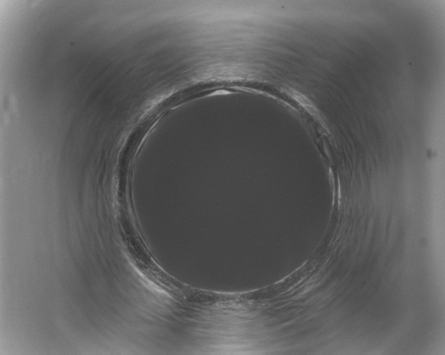 X0000066120627200603241611