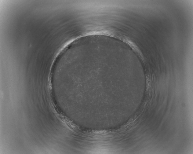 X0000066120628200603241611