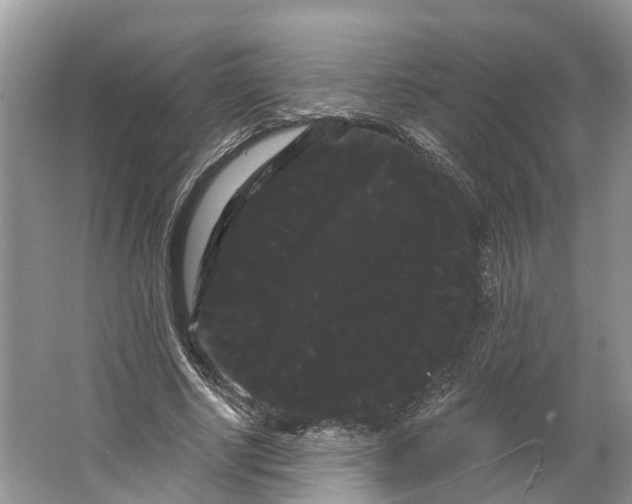 X0000066120634200603241611