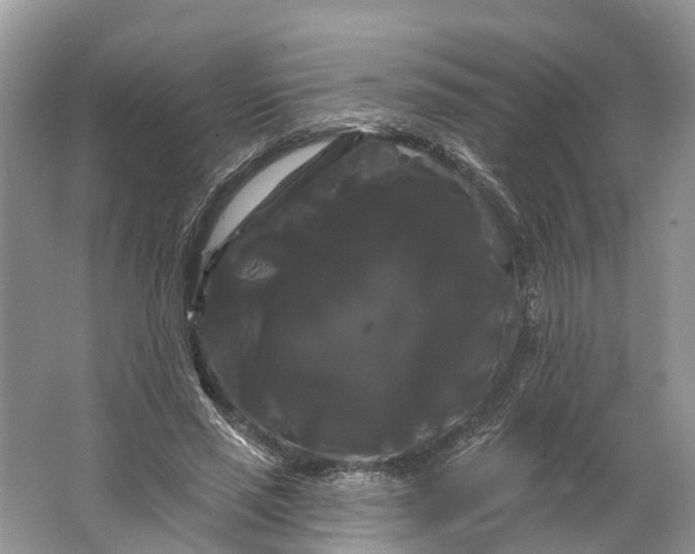 X0000066120637200603241611