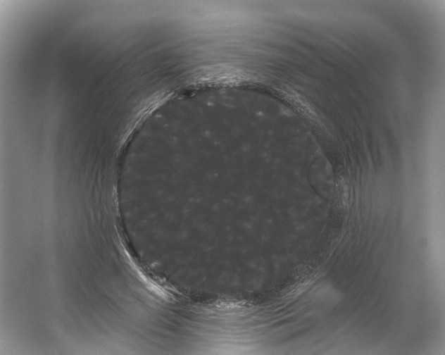 X0000066120638200603241611