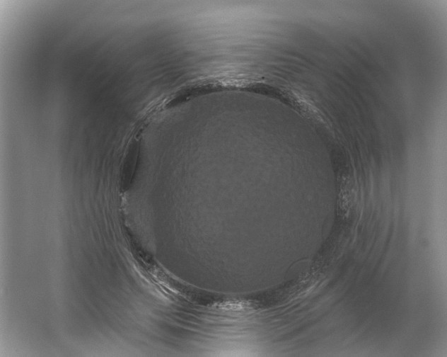 X0000066120639200603241611