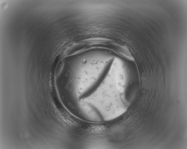 X0000066120642200603241611