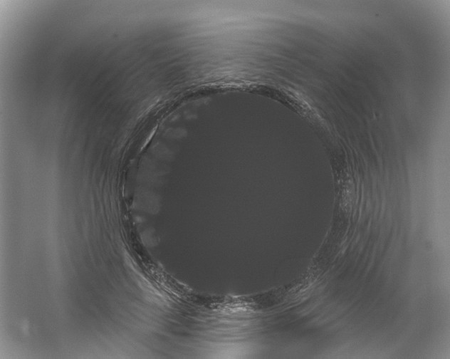 X0000066120643200603241611