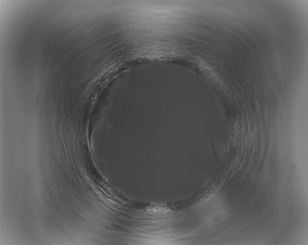 X0000066120644200603241611