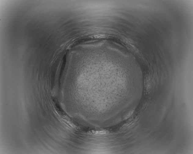 X0000066120645200603241611