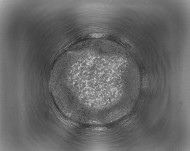 X0000066120646200603241611