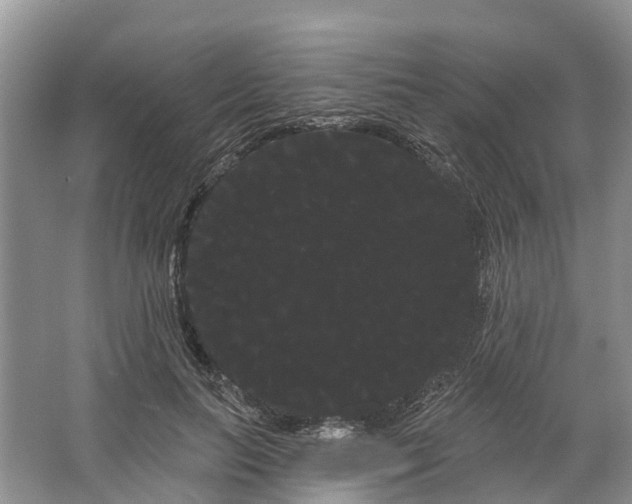 X0000066120647200603241611