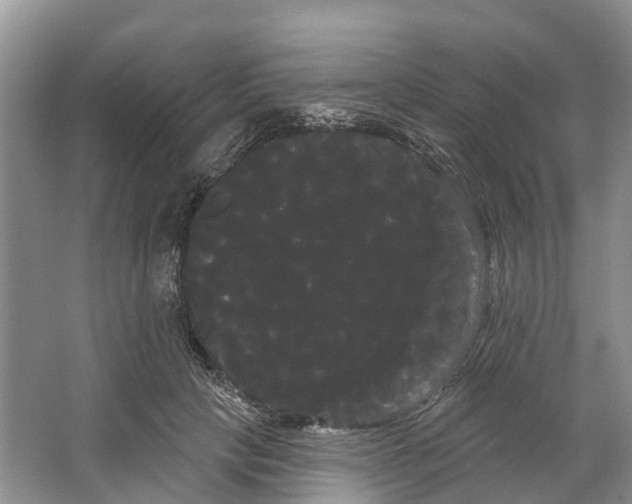 X0000066120649200603241611