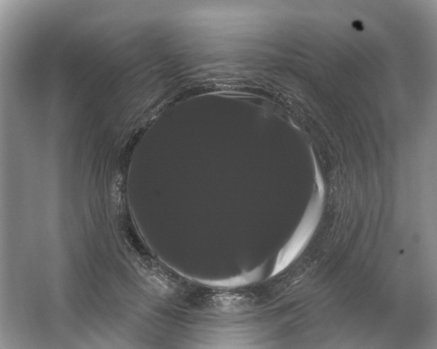 X0000066120650200603241611