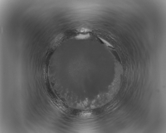 X0000066120651200603241611