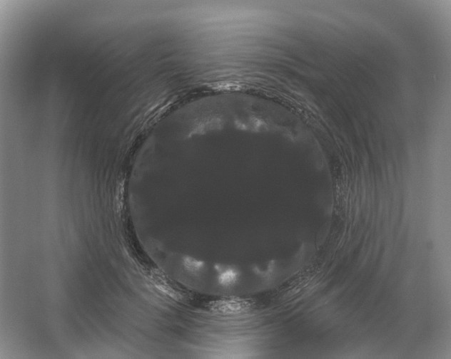 X0000066120652200603241611