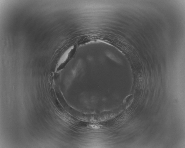 X0000066120654200603241611