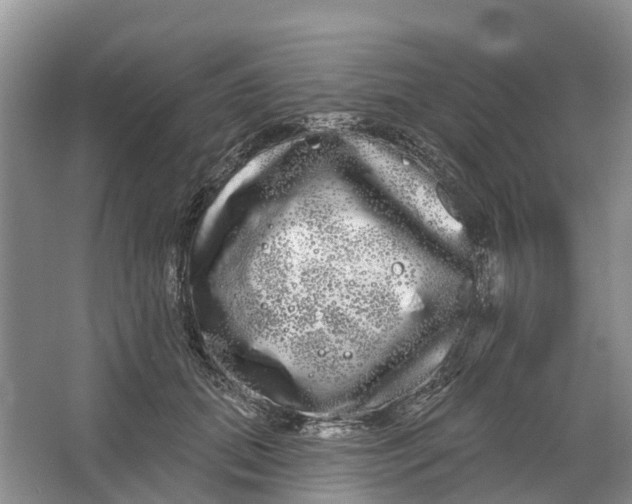 X0000066120655200603241611