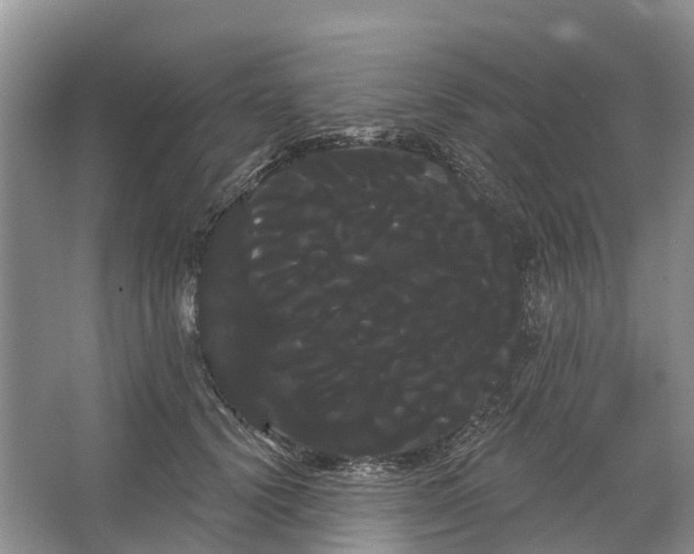 X0000066120656200603241611