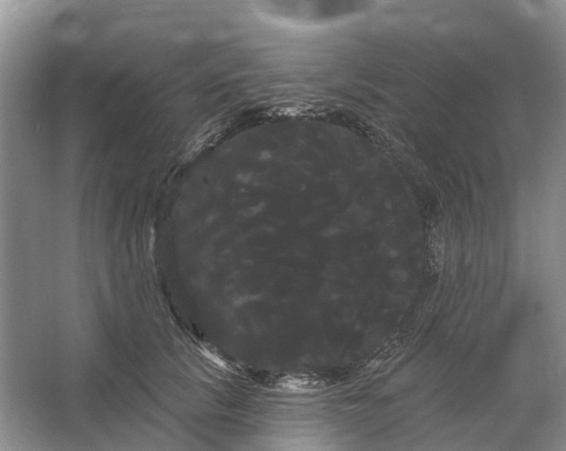 X0000066120657200603241611