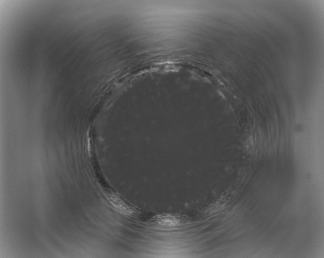 X0000066120658200603241611