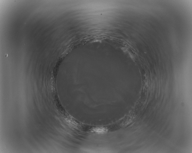 X0000066120659200603241611