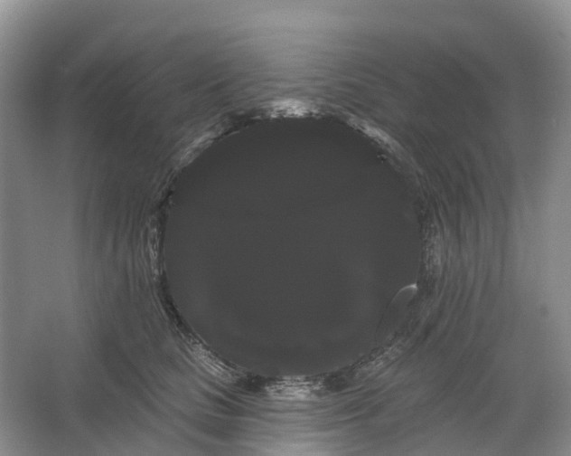 X0000066120661200603241611