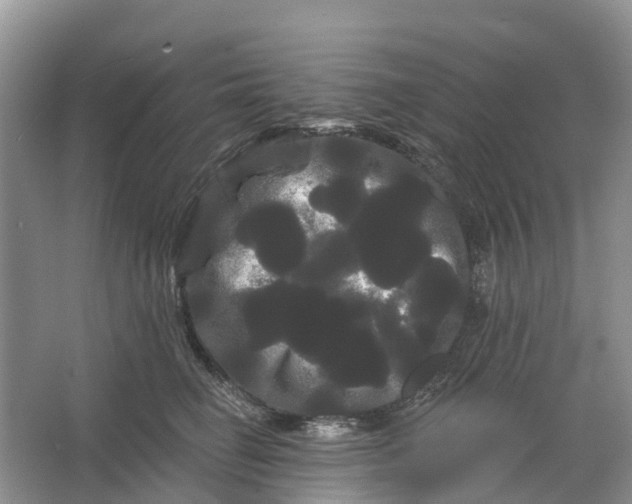 X0000066120662200603241611