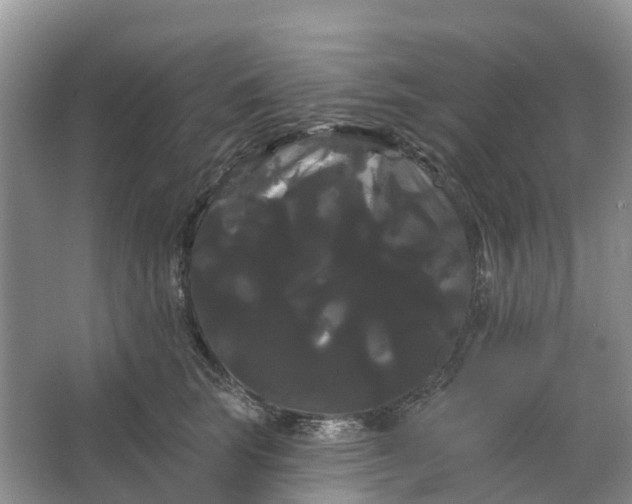 X0000066120663200603241611