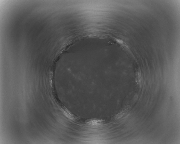 X0000066120664200603241611