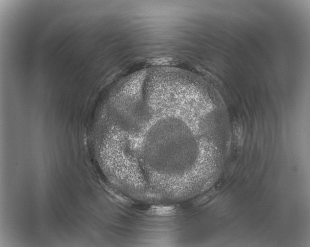 X0000066120665200603241611