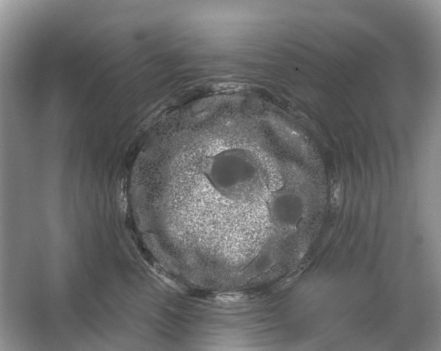 X0000066120666200603241611