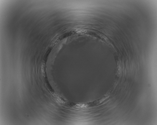 X0000066120667200603241611