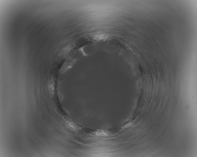 X0000066120668200603241611